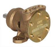 1/4" bronze pump, <b>10-size</b>, foot-mounted with BSP threaded ports